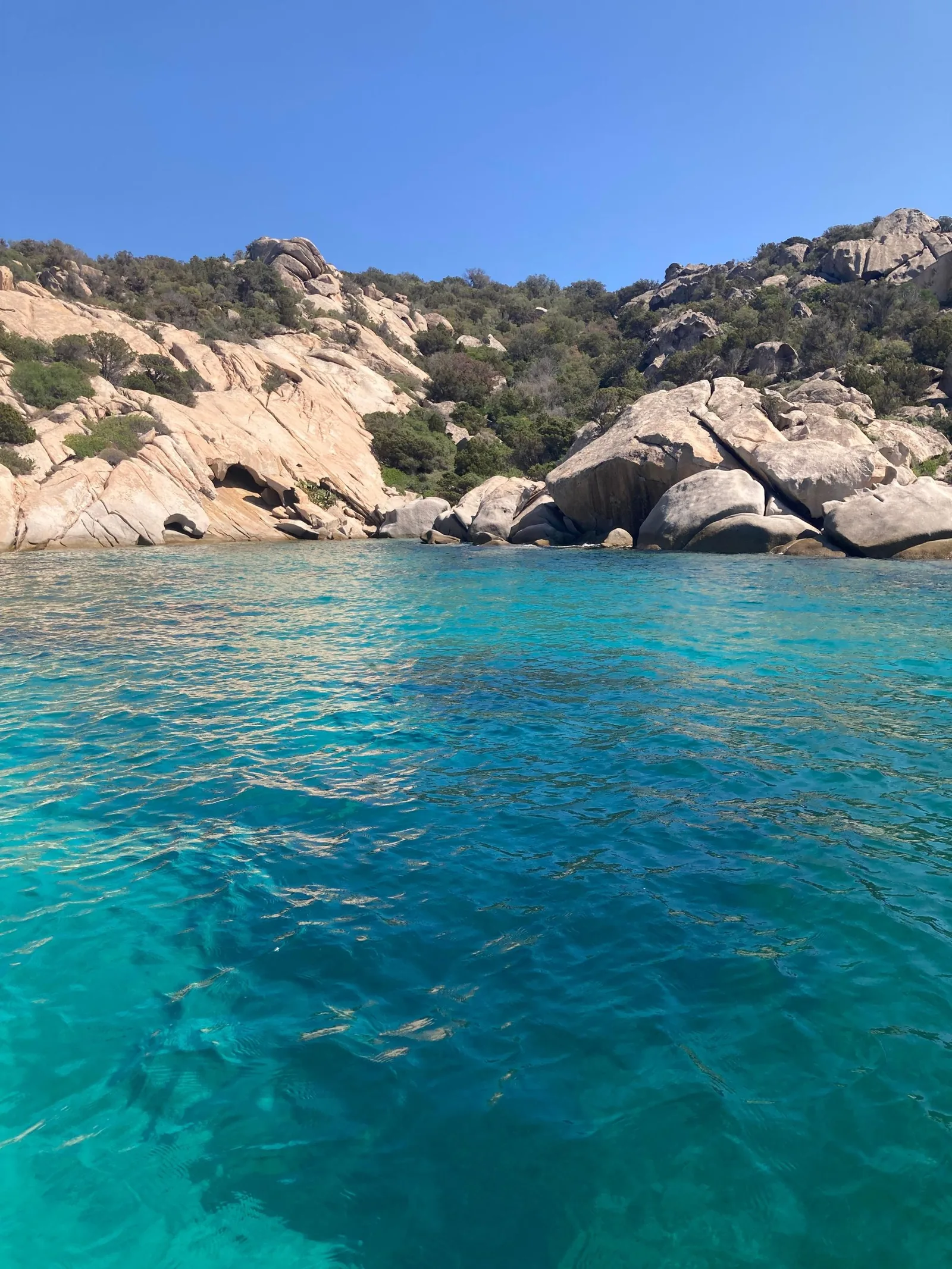 Tour Tavolara e Molara piccolo gruppo · prosecco e snack — tour in barca a Tavolara, Sardegna
