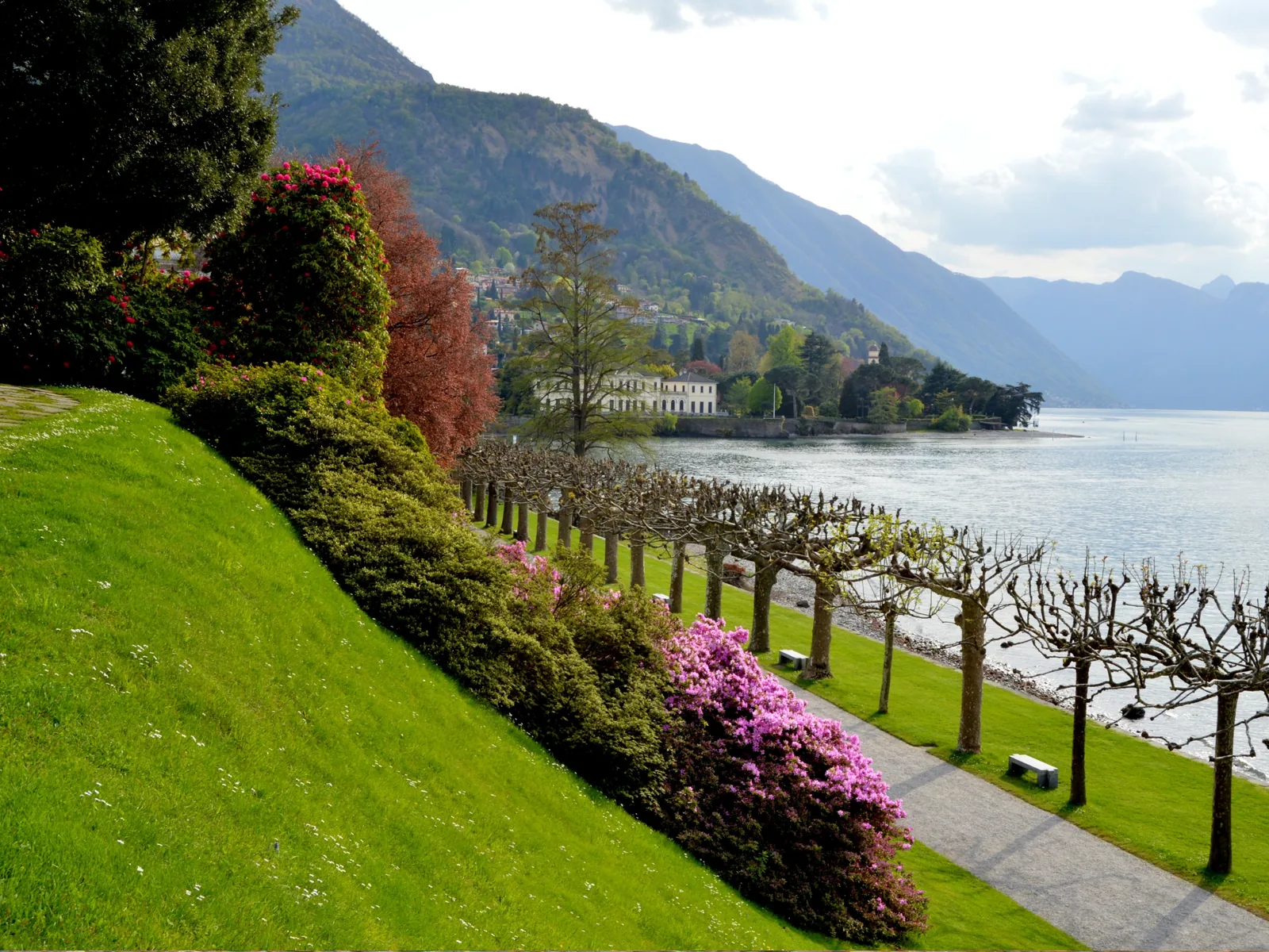 Desde Varenna: paseo en barco con parada en Bellagio · 2 horas · con prosecco — tour en barco por el lago de Como