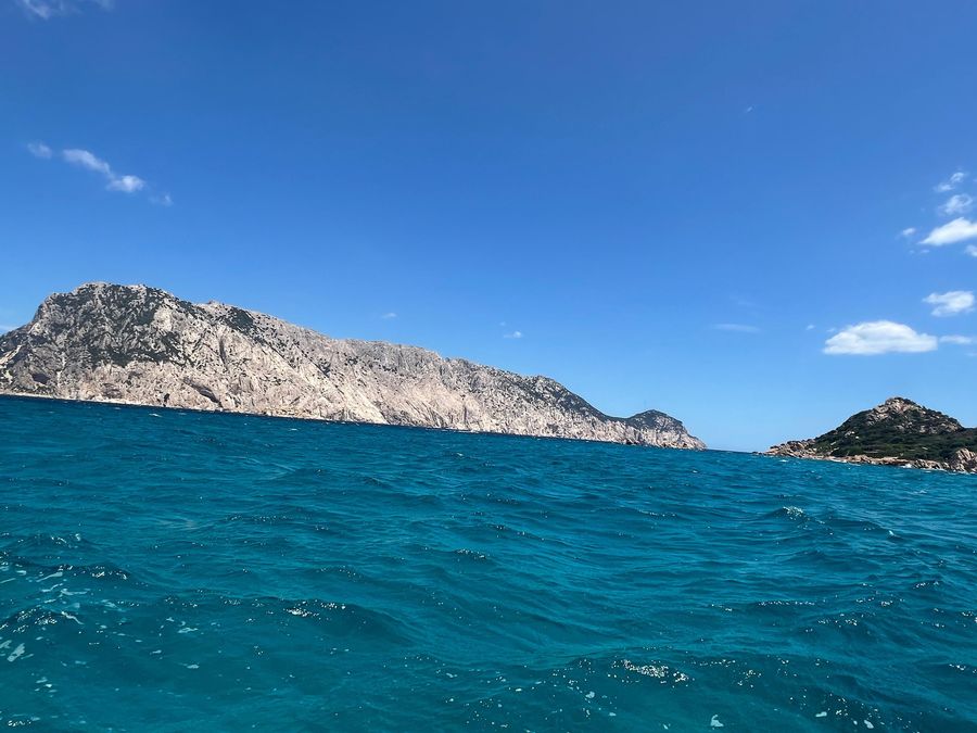 Tour isole Tavolara e Molara — tour in barca Tavolara, Sardegna