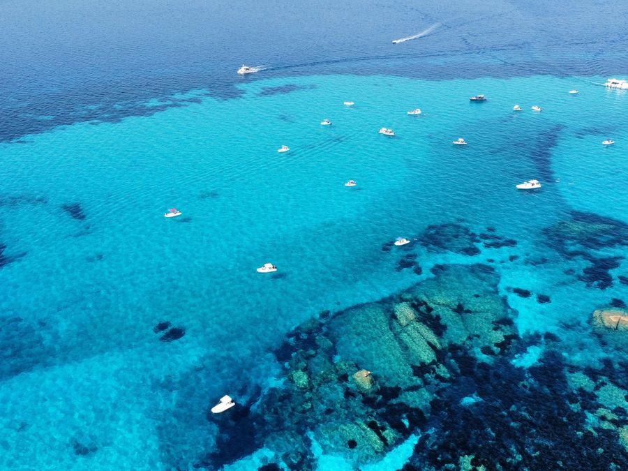 Avvistamento delfini — tour in barca Tavolara, Sardegna