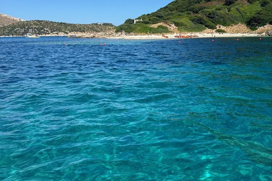 Grand dauphin en surface pendant le tour depuis Olbia