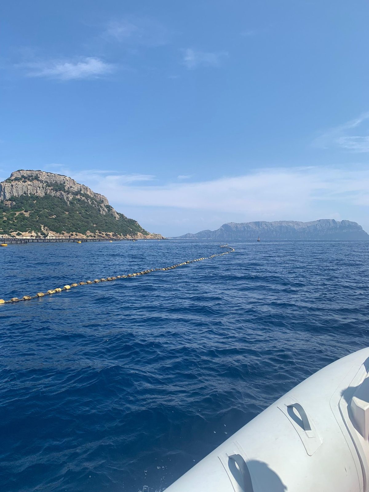 Ospiti a bordo durante l’avvistamento delfini